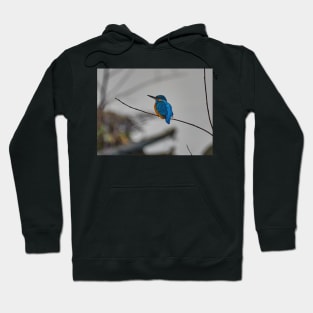 Kingfisher Hoodie